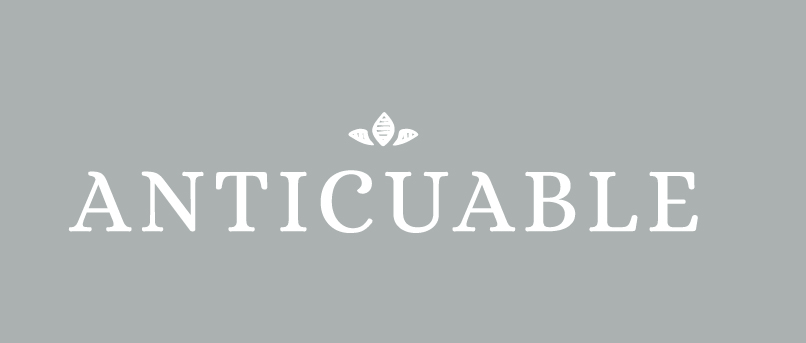 ANTICUABLE TIENDA ALMACEN ANTIGUEDADES DE DERRIBO PARA CONSTRUCCION